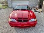 Thumbnail Photo 4 for 1994 Ford Mustang