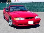 Thumbnail Photo 1 for 1994 Ford Mustang