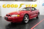 Thumbnail Photo 2 for 1994 Ford Mustang