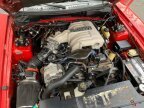 Thumbnail Photo 4 for 1994 Ford Mustang