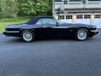 Thumbnail Photo 6 for 1994 Jaguar XJS 4.0 Convertible for Sale by Owner