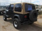 Thumbnail Photo 1 for 1994 Jeep Wrangler