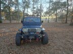 Thumbnail Photo 5 for 1994 Jeep Wrangler