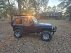 Thumbnail Photo 4 for 1994 Jeep Wrangler