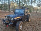 Thumbnail Photo 1 for 1994 Jeep Wrangler