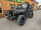 Thumbnail Photo 1 for 1994 Jeep Wrangler