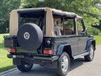 Thumbnail Photo 4 for 1994 Mercedes-Benz G Wagon