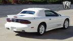 Thumbnail Photo 4 for 1994 Pontiac Firebird Convertible