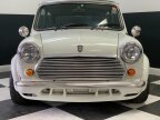 Thumbnail Photo 3 for 1994 Rover Mini