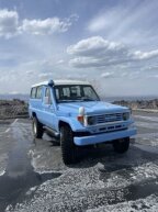 Thumbnail Photo 3 for 1994 Toyota Land Cruiser