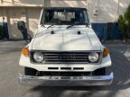 Thumbnail Photo 1 for 1994 Toyota Land Cruiser