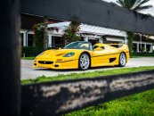 1995 Ferrari F50