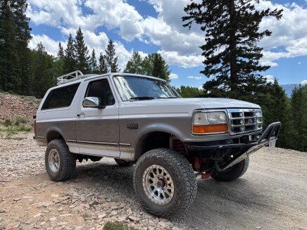 Photo 1 for 1995 Ford Bronco XLT for Sale by Owner