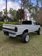 Thumbnail Photo 2 for 1995 Ford F250