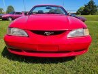 Thumbnail Photo 2 for 1995 Ford Mustang