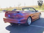 Thumbnail Photo 5 for 1995 Ford Mustang GT Convertible