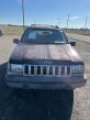 Thumbnail Photo 1 for 1995 Jeep Grand Cherokee 4WD Laredo