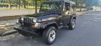 Thumbnail Photo 3 for 1995 Jeep Wrangler