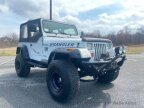 Thumbnail Photo 1 for 1995 Jeep Wrangler