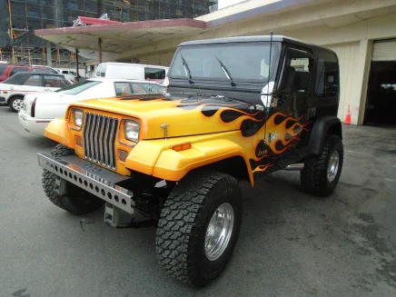 Photo 1 for 1995 Jeep Wrangler