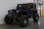 Thumbnail Photo 2 for 1995 Jeep Wrangler 4WD SE