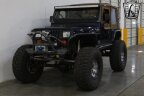 Thumbnail Photo 4 for 1995 Jeep Wrangler 4WD SE