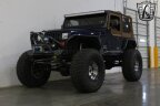 Thumbnail Photo 3 for 1995 Jeep Wrangler 4WD SE