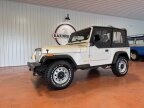 Thumbnail Photo 2 for 1995 Jeep Wrangler