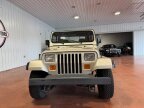 Thumbnail Photo 4 for 1995 Jeep Wrangler