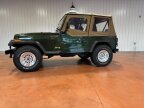 Thumbnail Photo 1 for 1995 Jeep Wrangler