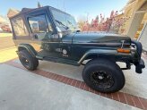 1995 Jeep Wrangler 4WD Sahara