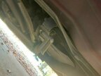 Thumbnail Photo 1 for 1995 Pontiac Firebird Formula