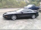 Thumbnail Photo 6 for 1995 Pontiac Firebird Trans Am