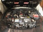 Thumbnail Photo 1 for 1995 Pontiac Firebird Trans Am