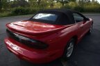 Thumbnail Photo 3 for 1995 Pontiac Firebird