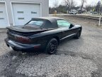 Thumbnail Photo 3 for 1995 Pontiac Firebird
