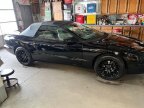 Thumbnail Photo 5 for 1995 Pontiac Firebird