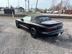Thumbnail Photo 1 for 1995 Pontiac Firebird