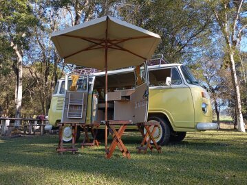 1995 Volkswagen Vans