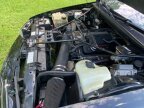 Thumbnail Photo 2 for 1996 Chevrolet Impala