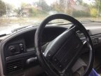 Thumbnail Photo 5 for 1996 Ford Bronco