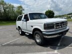 Thumbnail Photo 6 for 1996 Ford Bronco