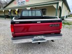 Thumbnail Photo 5 for 1996 Ford F150