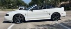 Thumbnail Photo 1 for 1996 Ford Mustang Cobra Convertible for Sale by Owner