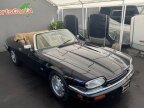 Thumbnail Photo 2 for 1996 Jaguar XJS