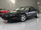Thumbnail Photo 6 for 1996 Pontiac Firebird