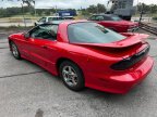 Thumbnail Photo 1 for 1996 Pontiac Firebird