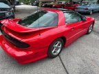 Thumbnail Photo 3 for 1996 Pontiac Firebird