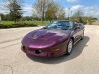 Thumbnail Photo 1 for 1996 Pontiac Firebird