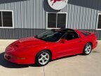 Thumbnail Photo 2 for 1996 Pontiac Firebird Coupe